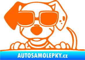 Samolepka Pes s brýlemi 101 levá v autě Fluorescentní oranžová