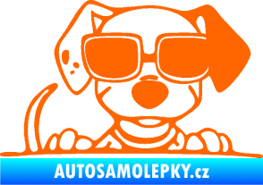 Samolepka Pes s brýlemi 101 pravá v autě Fluorescentní oranžová