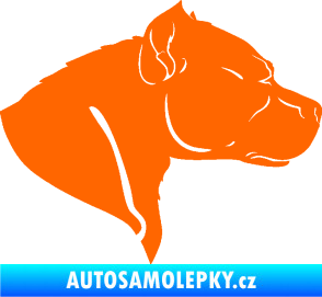 Samolepka Pitbull 004 pravá Fluorescentní oranžová