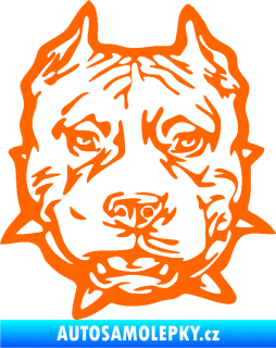 Samolepka Pitbull hlava 003 pravá Fluorescentní oranžová