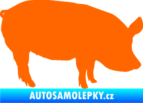 Samolepka Prase 001 pravá Fluorescentní oranžová