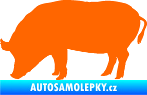 Samolepka Prase 004 levá Fluorescentní oranžová