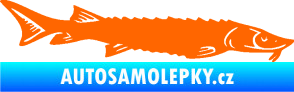 Samolepka Ryba 020 pravá jeseter Fluorescentní oranžová