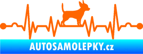 Samolepka Srdeční tep 006 pravá čivava Fluorescentní oranžová