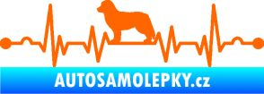 Samolepka Srdeční tep 017 levá bernský salašnický pes Fluorescentní oranžová
