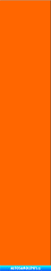 Samolepka Startovní číslo 1 Fluorescentní oranžová