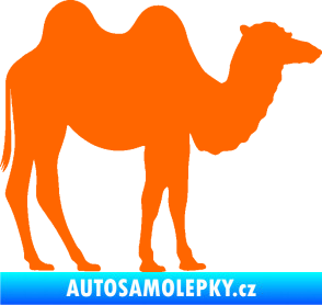 Samolepka Velbloud 003 pravá Fluorescentní oranžová