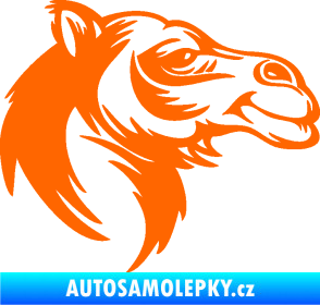 Samolepka Velbloud 004 pravá hlava Fluorescentní oranžová
