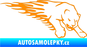 Samolepka Animal flames 020 pravá puma oranžová