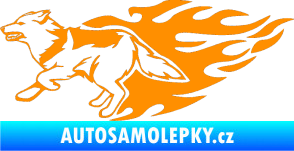 Samolepka Animal flames 090 levá vlk oranžová