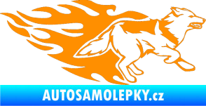 Samolepka Animal flames 090 pravá  vlk oranžová