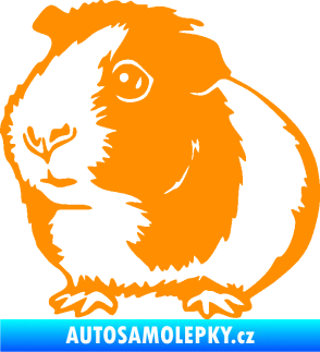 Samolepka Morče 003 levá oranžová