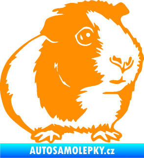 Samolepka Morče 003 pravá oranžová