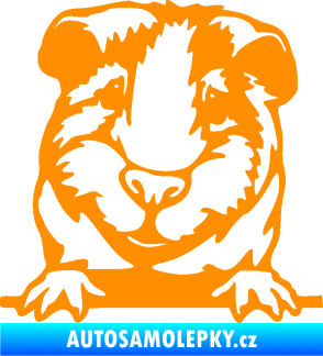 Samolepka Morče 004 levá oranžová