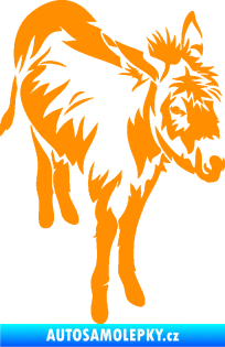 Samolepka Osel 005 pravá oranžová