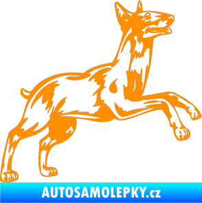 Samolepka Pes 015 pravá Bulteriér oranžová
