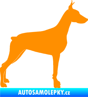 Samolepka Pes 088 pravá Dobrman oranžová
