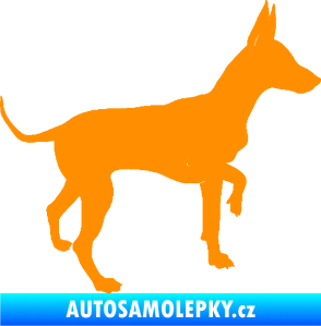 Samolepka Pes 093 pravá Pražský krysařík oranžová