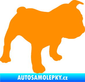 Samolepka Pes 108 pravá Francouzský buldoček oranžová
