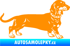 Samolepka Pes 122 pravá jezevčík oranžová