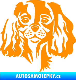 Samolepka Pes 132 pravá Cavalier king Charles spaniel oranžová