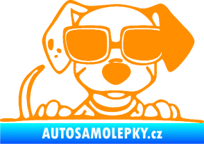 Samolepka Pes s brýlemi 101 pravá v autě oranžová