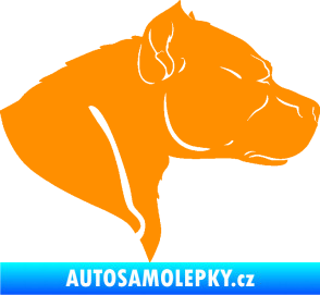 Samolepka Pitbull 004 pravá oranžová