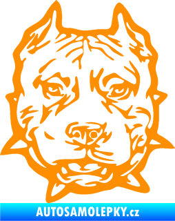 Samolepka Pitbull hlava 003 pravá oranžová