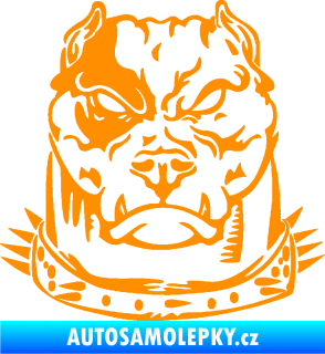 Samolepka Pitbull hlava 005 pravá oranžová