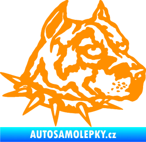 Samolepka Pitbull hlava 006 pravá oranžová