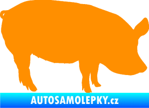 Samolepka Prase 001 pravá oranžová
