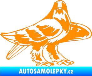 Samolepka Predators 047 pravá oranžová