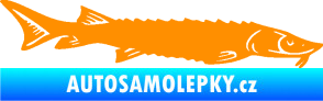 Samolepka Ryba 020 pravá jeseter oranžová
