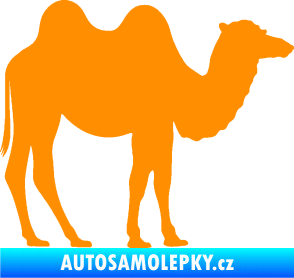 Samolepka Velbloud 003 pravá oranžová
