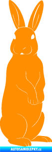 Samolepka Zajíc 003 pravá oranžová