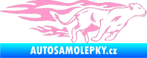 Samolepka Animal flames 084 pravá lvice světle růžová
