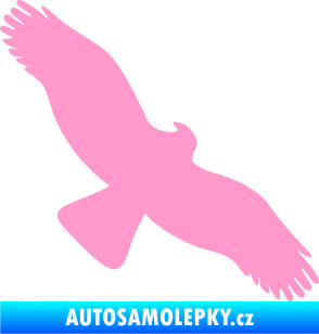Samolepka Dravec na sklo 001 pravá světle růžová