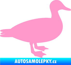 Samolepka Kachna 002 pravá světle růžová