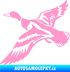Samolepka Kachna divoká 001 levá kačer světle růžová
