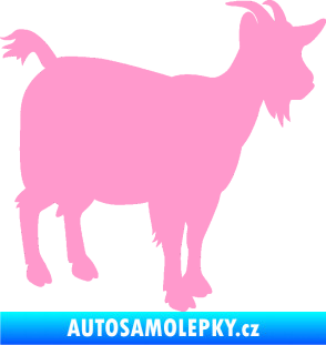 Samolepka Koza 001 pravá světle růžová
