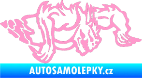 Samolepka Ostnatej pravá světle růžová