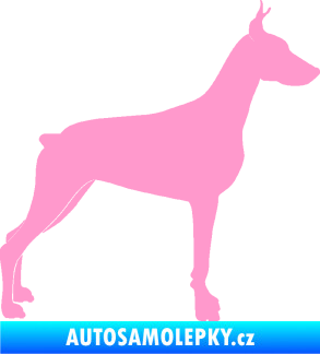 Samolepka Pes 088 pravá Dobrman světle růžová