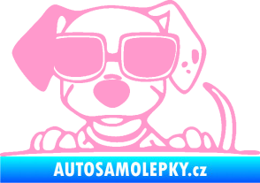 Samolepka Pes s brýlemi 101 levá v autě světle růžová