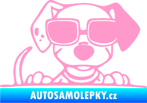Samolepka Pes s brýlemi 101 pravá v autě světle růžová