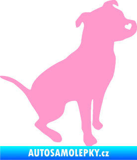 Samolepka Pitbull 005 pravá světle růžová
