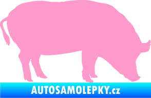Samolepka Prase 004 pravá světle růžová