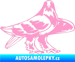 Samolepka Predators 047 pravá světle růžová