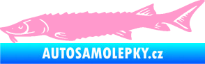 Samolepka Ryba 020 levá jeseter světle růžová