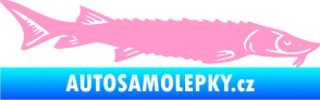 Samolepka Ryba 020 pravá jeseter světle růžová