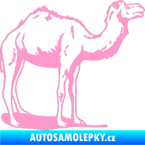 Samolepka Velbloud 001 pravá světle růžová